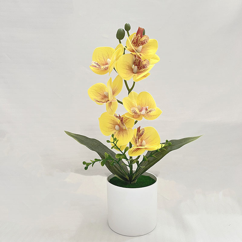노란색 (높이 31*가로 20cm)