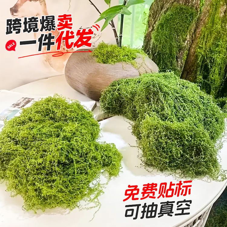 仿真丝状苔藓草坪人造假青苔仿真羊毛藓景观布置草坪盆景盆栽铺面