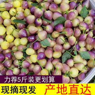 �V���خa�߲��������r��ʽ���ɫ������С�������\����ɫ�����ݽ�