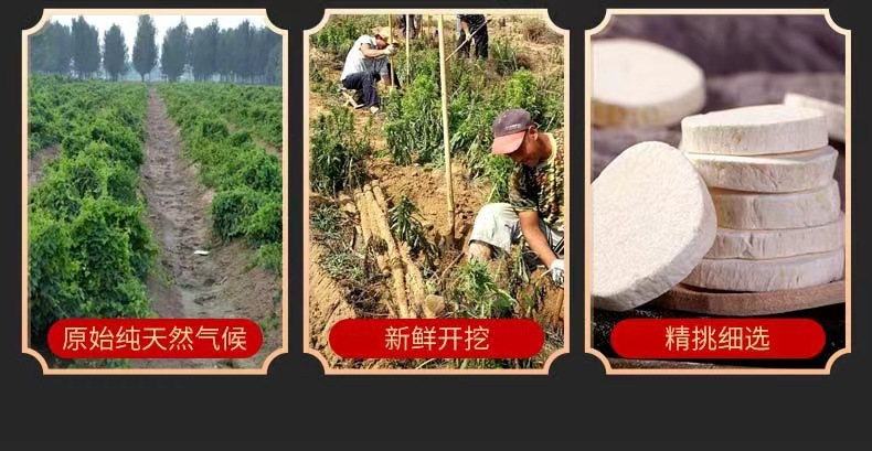 Chinese Yam Slices Shan Yao 500g Dried Dioscorea Opposita Bulk Herbal Decoction Pieces key features