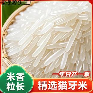 ����؈���׬Fĥ�����L������׽z�������׶i���r������������l