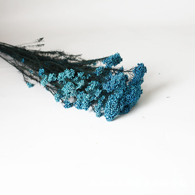 Flor seca Flor eterna Gypsophila Bola de oro No me olvides Flor seca Rosa hoja de eucalipto Pine Fruit Lover Grass al por mayor