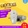 高压三相异步系列电动机