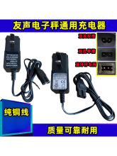 适用上海友声电子秤充电器双槽单槽双孔XK3100-B2+台秤桌秤电源线
