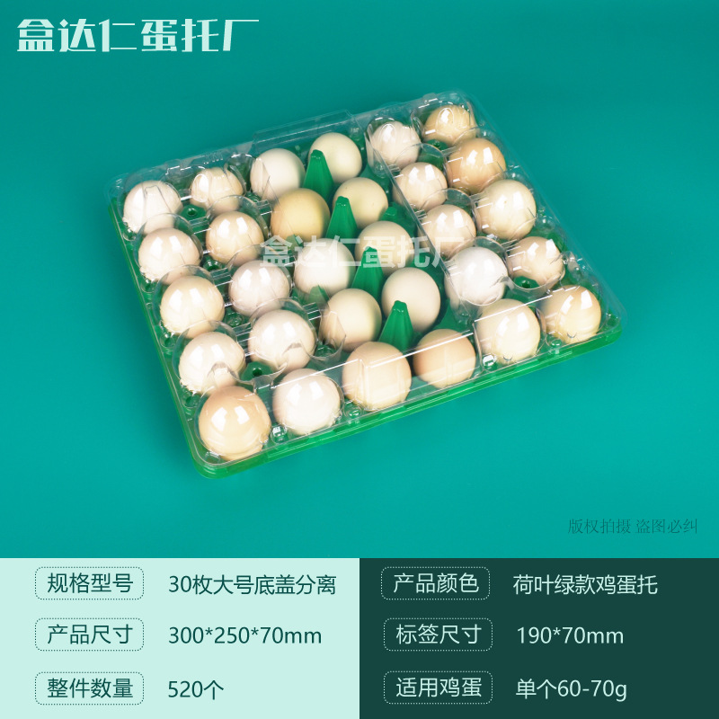 Titular de huevo de plástico desechable con hebilla con tapa a prueba de golpes transparente Tierra huevo caja de embalaje supermercado ventas directas de la fábrica