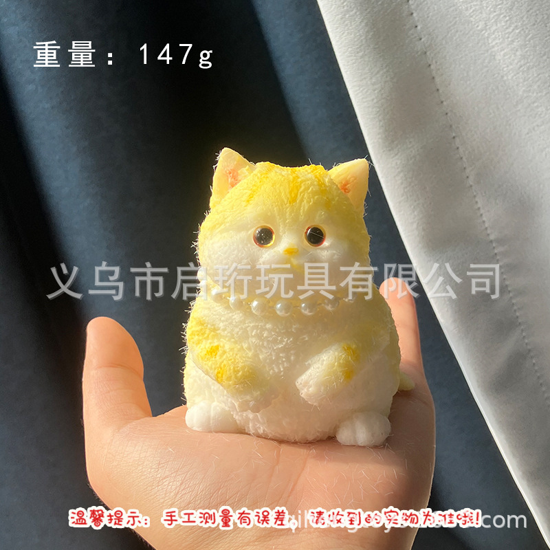 Super lindo gato gordo pellizco pellizco pelliz