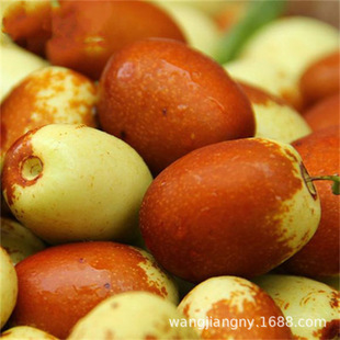 ������޽��½��������t���Ϸ������Nֲ���Ե��Ԯ���Y��