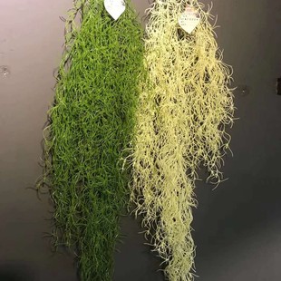 ��횲��ٗl �ҾӾưɱڒ��b�ֲ� �ٻ����ϴ���������횲�����