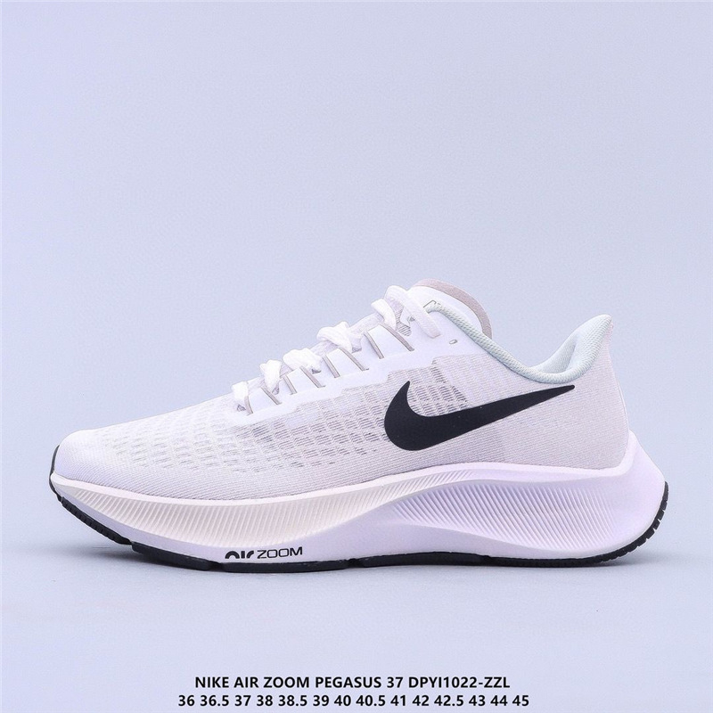 37세대 흰색과 검정색