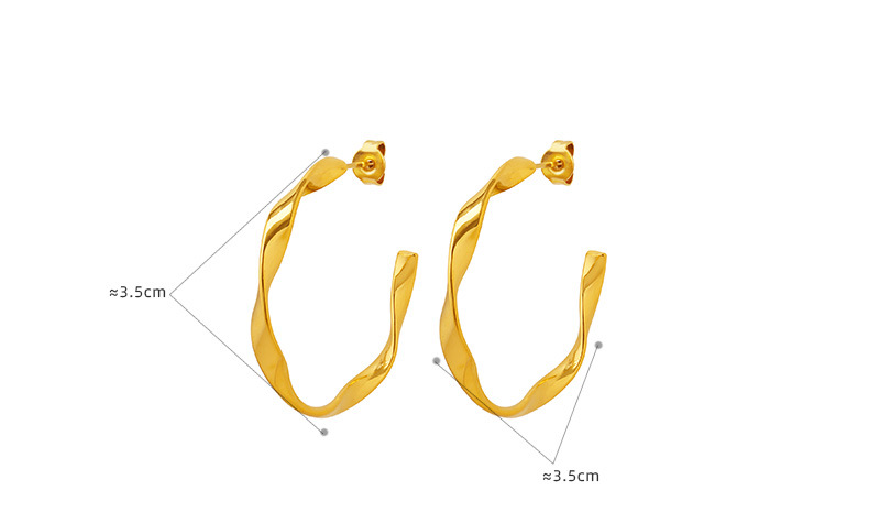1 Pair Elegant Twist Titanium Steel Plating Earrings display picture 1