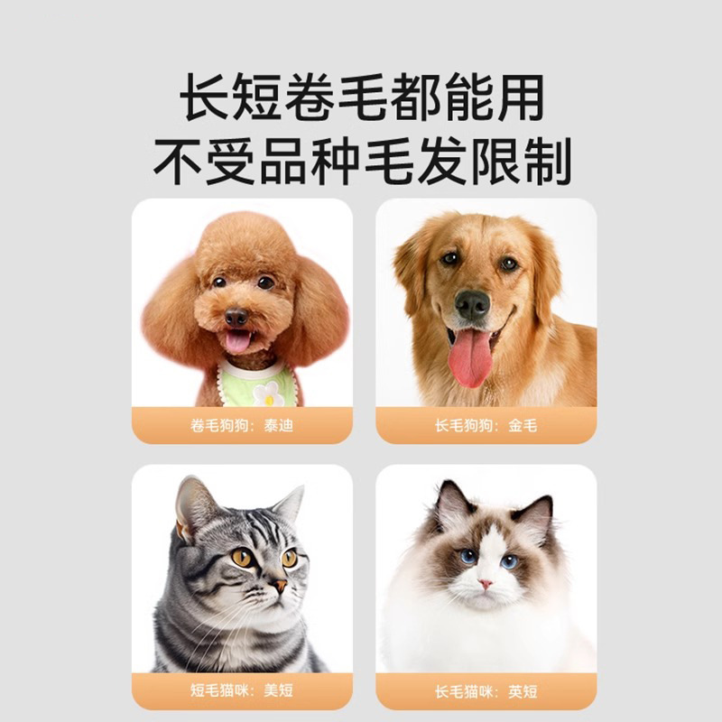 Perro afeitadora mascota eléctrica Clipper Teddy gato pie afeitado perro pelo eléctrico Clipper profesional pelo empujador suministros
