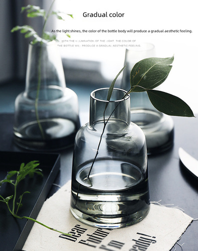 Bulk Glass Vase, Instagram Nordic Minimalist Colored Glass Vase, Dried Flower Insert Creative Glass Vase