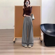 ���X�L�l�y���ѝŮ����2026�¿��nϵ�OӋ�и����@�ݴ��������bѝ