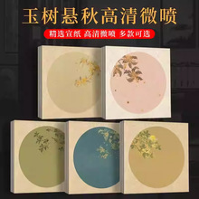 微喷纸玉树悬秋书法作品纸半生熟小楷瘦金体毛笔加厚印花仿古花笺
