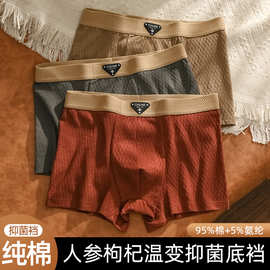 男士纯棉内裤秋冬款四角裤男时尚个性运动平角裤透气中腰纯色底裤