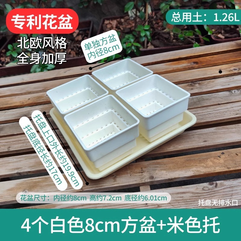 樹脂多肉植木鉢大口径小白角コンビネーション台座付きトレープラスチック通気植物専用根付き鉢|undefined