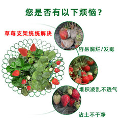 Strawberry stand strawberry seedling planting stand sun flower stand potted strawberry artifact anti-rot fruit support protection