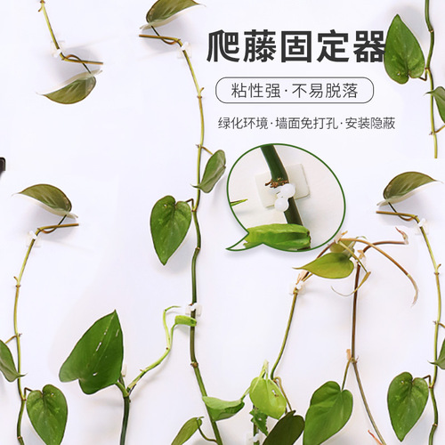 Green Ivy Wall Climbing Device, Green Vine Fixing Bracket, Climbing Hook Green Ivy Hanger, Green Plant Anchor with No-Trace Greenery Holder