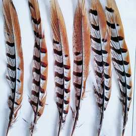 厂家供应diy9-29公分地鸡尾羽毛饰品舞台表演装饰工艺材手工流苏