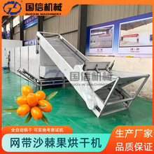 醋柳酸刺红棘连续式烘干设备 黄刺黑刺烘干机 网带式沙棘果烘干机
