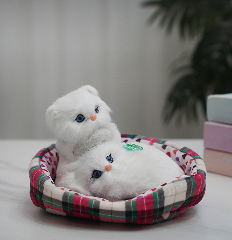 둥지와 페르시아 더블 고양이가 전화 할 수 있습니다