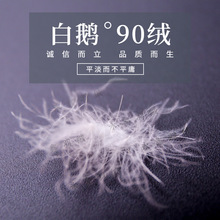厂家直供新国标白鹅90绒鹅绒水洗大朵羽绒优质填充物鹅毛原料批发