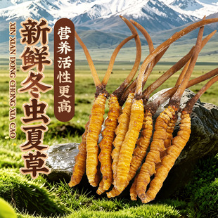 广东通泰药业有限公司