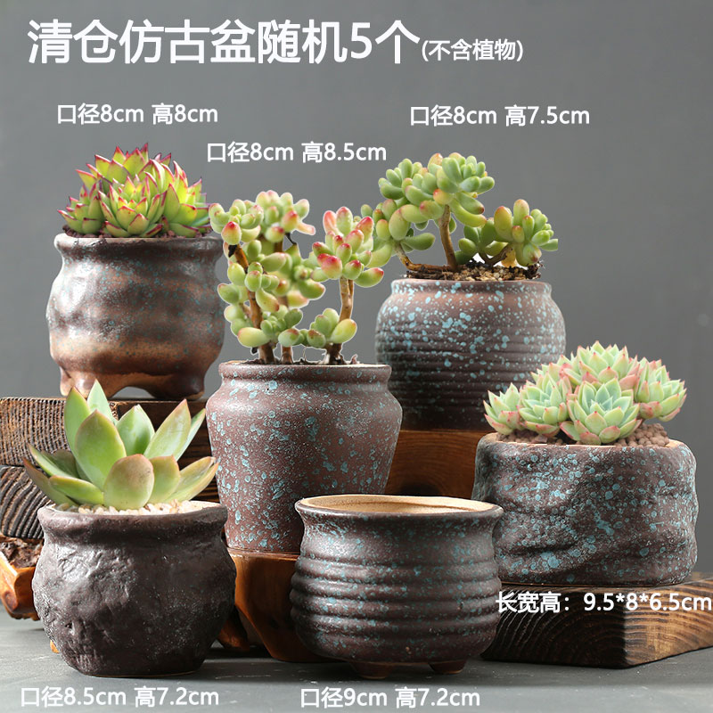 임의의 앤티크 화분 5개 정리