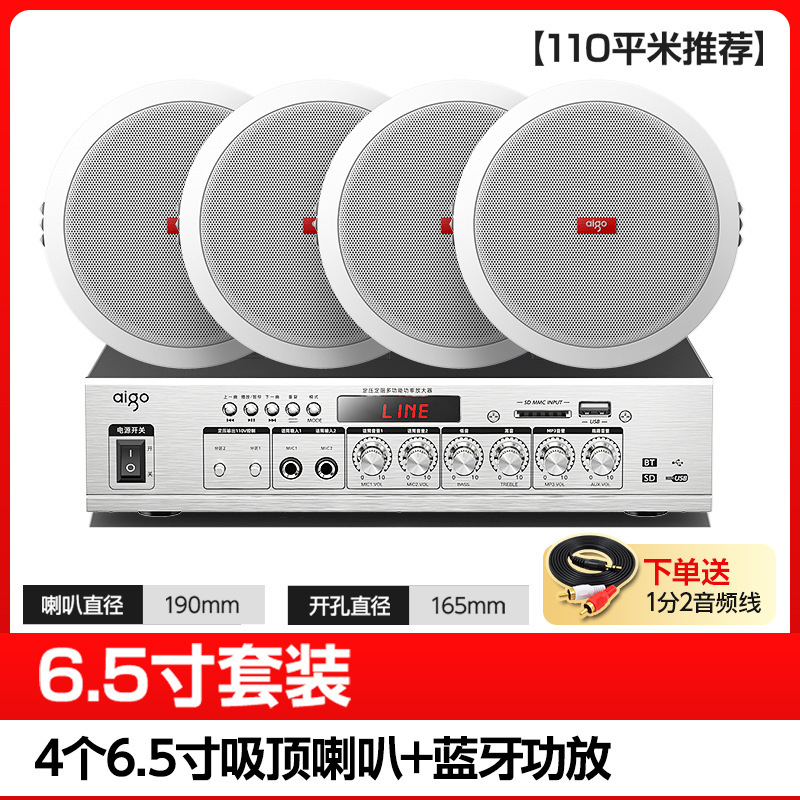 Sistema de Altavoces de Techo con Conexión Bluetooth para Música de Fondo