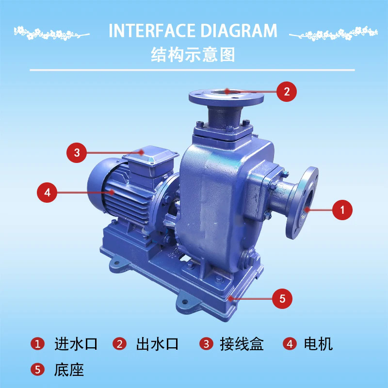 40ZXL直联式自吸泵，卧式单吸自吸泵 连轴式自吸泵