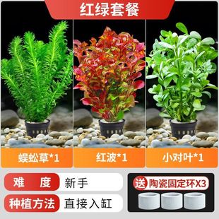 �~�ב���ˮ��ֲ���쾰ˮ�����к���݃���ˮ�|���ˮ���ײͽM��