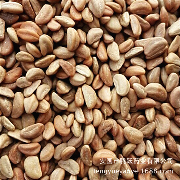 Dried Hawthorn Seeds Shan Zha Zi Bulk Herbal Filling Material for Cushions and Pillows specifications