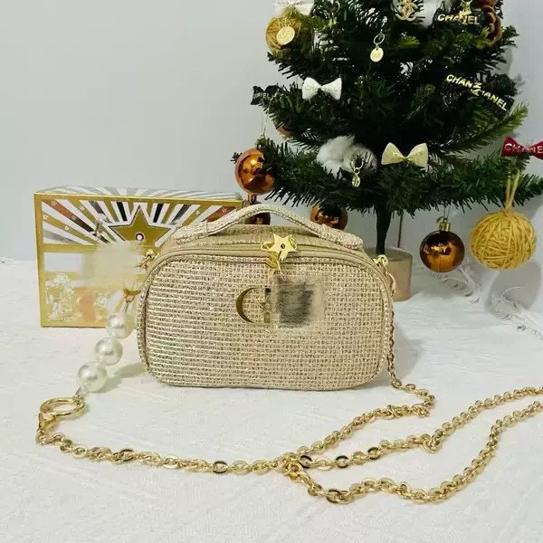 D25 Christmas Limited Gift Gold Jewelry Storage Box Limited Cosmetic Bag Two-Piece Set Simple Fashion Clutch Bag