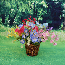 ̩mСѻ̻滨@ֲGû辰ֲٻˇ