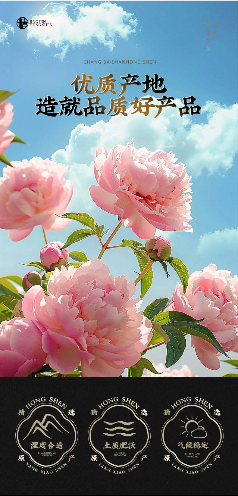 Mu Dan Pi (Moutan Cortex) — Dried Tree Peony Bark, Core-Removed, Sulfur-Free overview