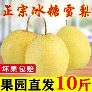 ��9.6Ԫ��78658��������֏�12.8Ԫ��ѩ��ӱ�ѩ�����������l10��