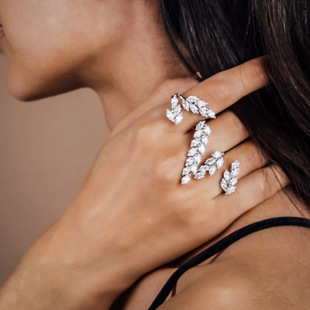 �W�����N�_�ڽ�ָ��r�����A�����ʯ�~���ν�ָŮʿ��� Rings