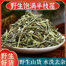 ��֦ɏ��ș����Ʒ500gҰ����؛�o���֦�B�n�Ųݲ�ș���۰׻��߲�