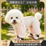 耐磨轻薄防尘防虫狗狗