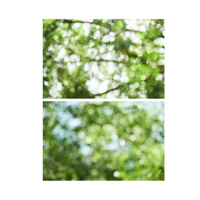 Papel de fondo de sombra de árbol de doble cara Productos de naturaleza muerta Fotografías Accesorios de disparo Cosméticos Joyería gourmet HD 3D Simple