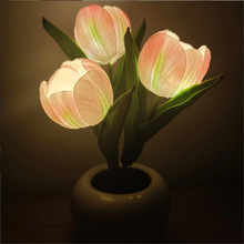 led�����㻨��� ��ɫ��������滨���մ�led�Շ�Сҹ���b[��
