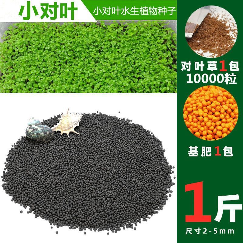 수생식물머드【0.5kg】강화정수버전-소쌍잎【10000캡슐】+무기초비료