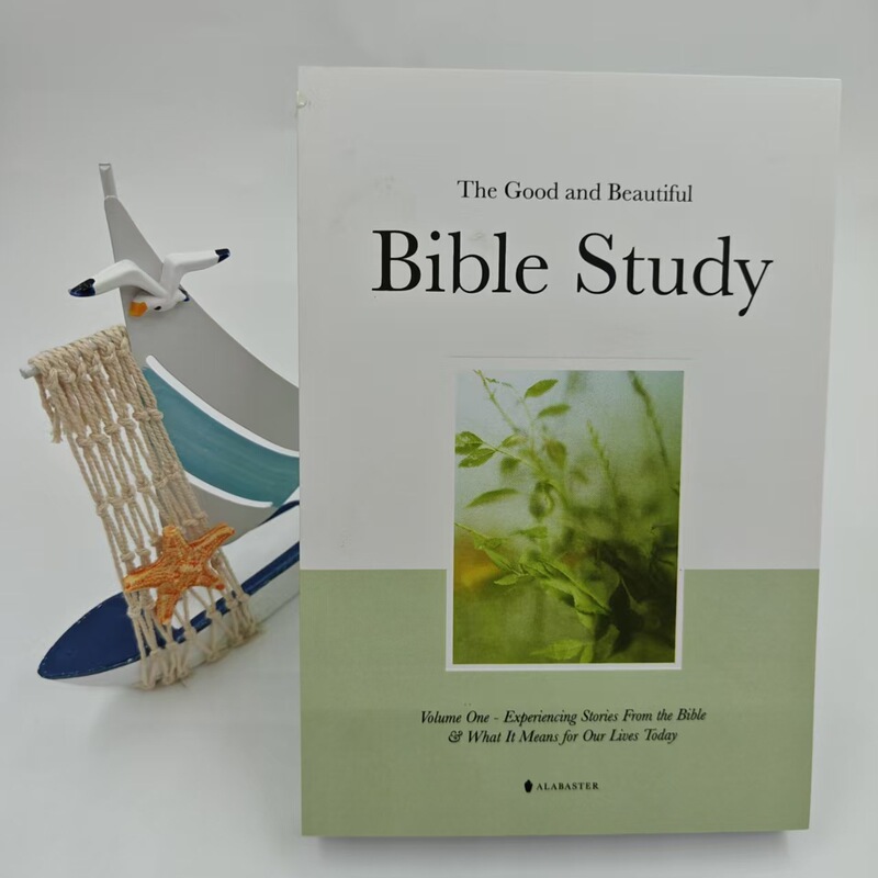 跨境爆款THEGOODANDBEAUTIFULBIBLESTUDY美好的和美丽的圣经学习|undefined