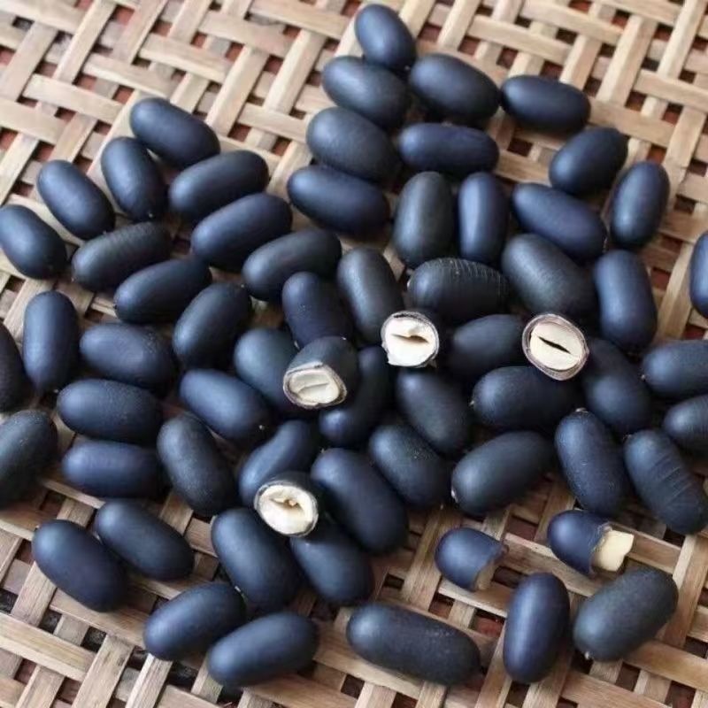 Shuang Shen Zi Double Kidney Seeds 500g Dried Ku Shi Lian Herb for Herbal Wine and Decoction specifications