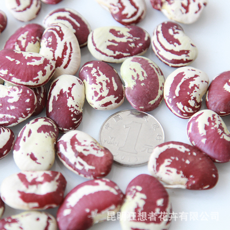 Hoa đậu (một gói 20g, khoảng 7-9 chiếc, đường kính khoảng 1-2.5CM)