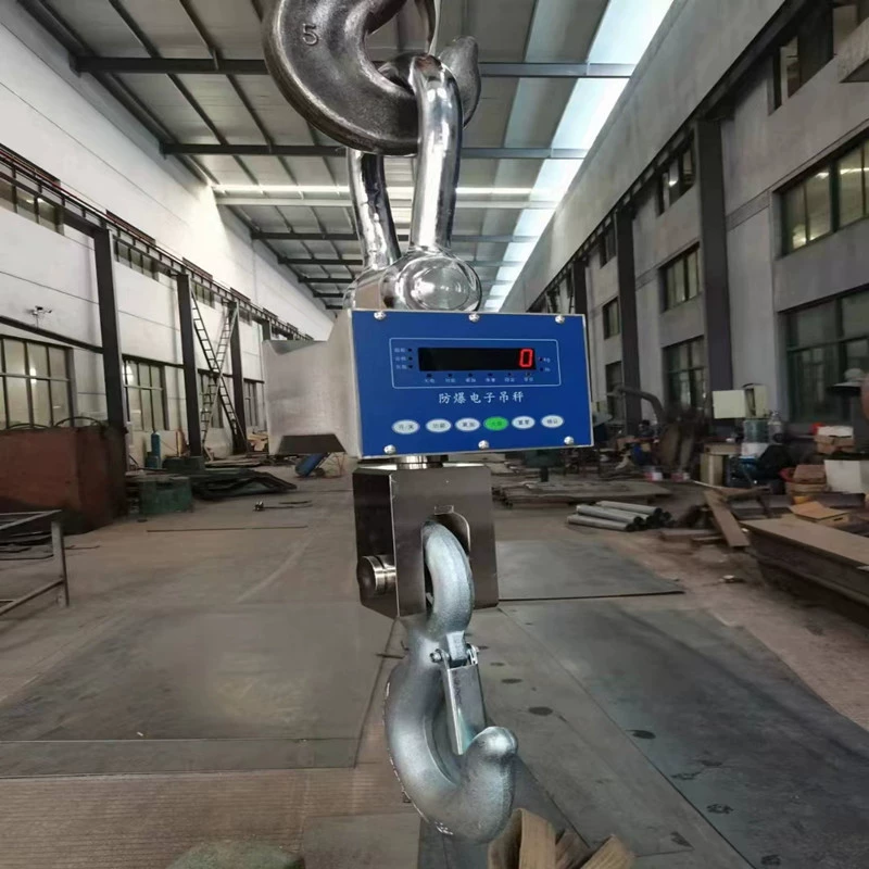 Longnan 3000 кг взрывозащищенный электронный крючок весы химический завод 5000 кг взрывозащищенный прямой вид электронный вес