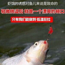 �a�~��~�D���r���D���r�r�D�r����H��Ʒ�ڿ���~���~���r�~�D