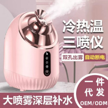热销冷热蒸脸器 面部保湿喷雾器家用美容仪温热蒸脸仪补水仪加湿