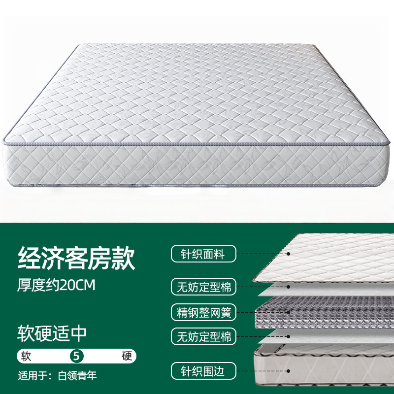 Economical room model-moderate softness and hardness [20cm]