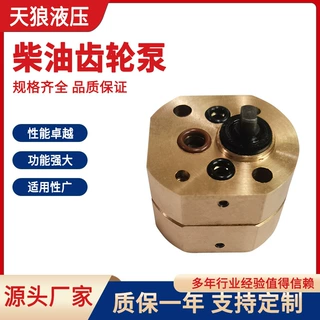 加工定制微型高压齿轮泵动力单元柴油高压齿轮泵高转速小型液压泵